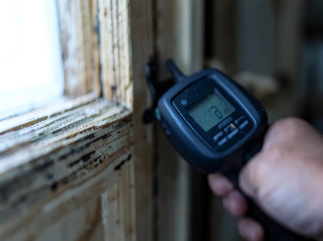 Moisture Inspection And Documentation in Delano, MN